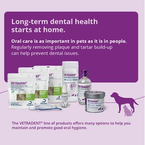 VETRADENT Organic Natural Mild Vanilla Flavored Dog & Cat Dental Wipes, 60 count