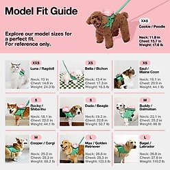 VETRESKA 3-in-1 Flora Dog Backpack & Harness Set, Pink/Green, Large: 25 to 35-in chest slide 2 of 9