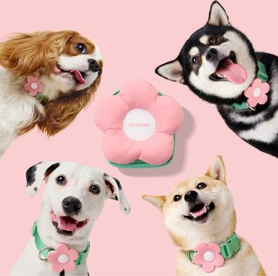 Show full view: VETRESKA 3-in-1 Flora Dog Backpack & Harness Set, Pink/Green, Large: 25 to 35-in chest slide 2 of 10