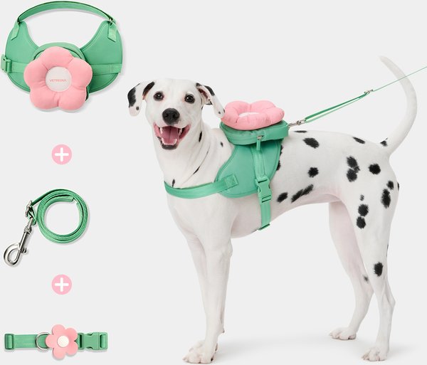 Show full view: VETRESKA 3-in-1 Flora Dog Backpack & Harness Set, Pink/Green, XX-Small: 13 to 17-in chest slide 1 of 10