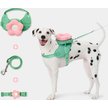 Show in main carousel: VETRESKA 3-in-1 Flora Dog Backpack & Harness Set, Pink/Green, XX-Small: 13 to 17-in chest slide 1 of 10