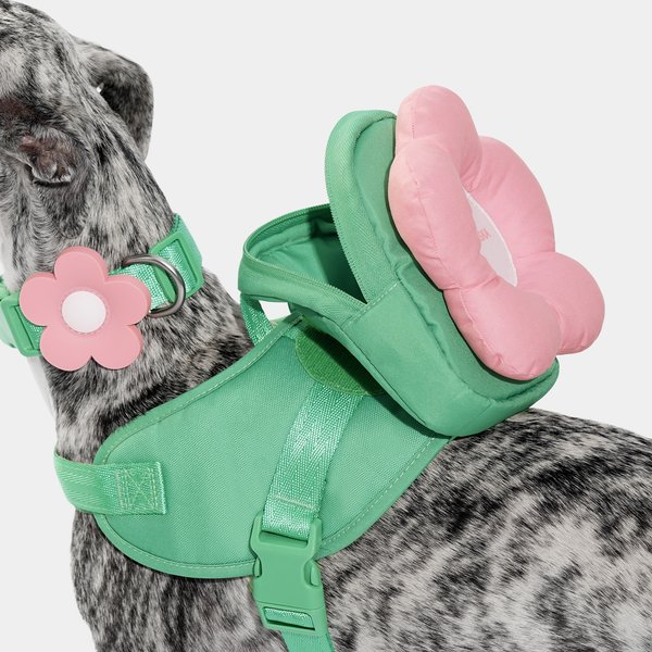 Show full view: VETRESKA 3-in-1 Flora Dog Backpack & Harness Set, Pink/Green, XX-Small: 13 to 17-in chest slide 5 of 10