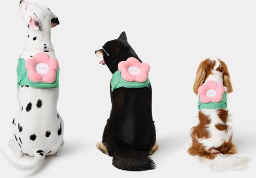 Show full view: VETRESKA 3-in-1 Flora Dog Backpack & Harness Set, Pink/Green, XX-Small: 13 to 17-in chest slide 6 of 10