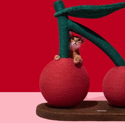 Show full view: VETRESKA Cherry 23-in Cat Tree slide 6 of 11