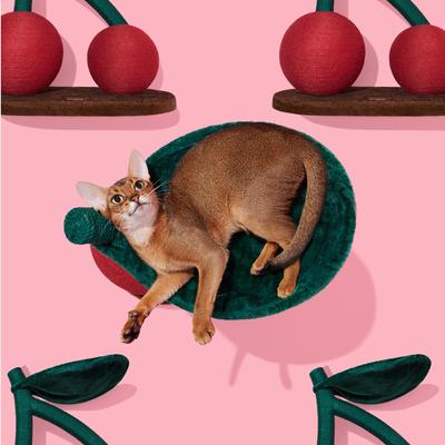 Show full view: VETRESKA Cherry 23-in Cat Tree slide 7 of 11