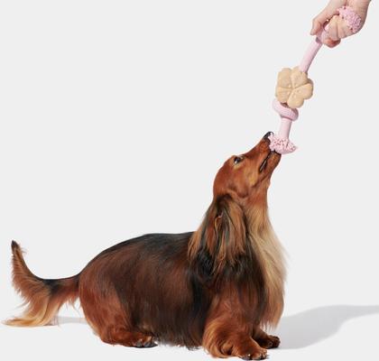 Show full view: VETRESKA Cherry Blossom Knot Rope Dog Toy, Large slide 3 of 5