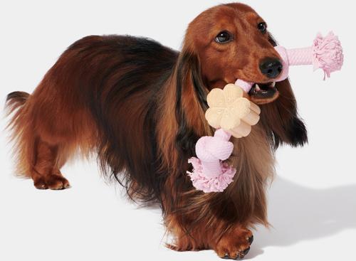 Show full view: VETRESKA Cherry Blossom Knot Rope Dog Toy, Large slide 4 of 5
