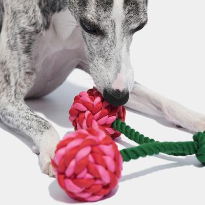 Show full view: VETRESKA Cherry Knot Rope Dog Toy slide 4 of 8