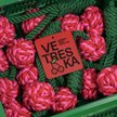 Show in main carousel: VETRESKA Cherry Knot Rope Dog Toy slide 5 of 8