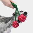 Show in main carousel: VETRESKA Cherry Knot Rope Dog Toy slide 3 of 8