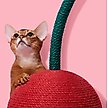 Show in main carousel: VETRESKA Cherry Scratching Ball Cat Toy slide 9 of 9