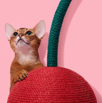 Show full view: VETRESKA Cherry Scratching Ball Cat Toy slide 9 of 9