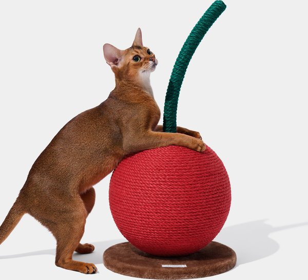 Show full view: VETRESKA Cherry Scratching Ball Cat Toy slide 6 of 9