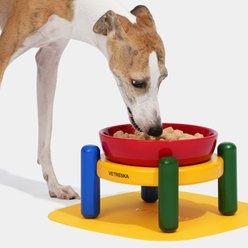 VETRESKA Chroma Ceramic Elevated Dog & Cat Bowl & Mat Set, Medium: 30-oz