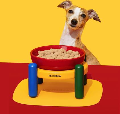 Show full view: VETRESKA Chroma Ceramic Elevated Dog & Cat Bowl & Mat Set, Medium: 30-oz slide 4 of 10