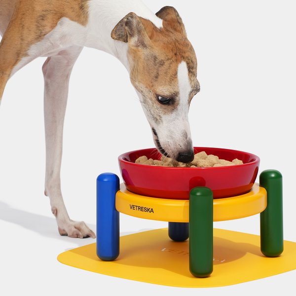 Ceramic Top Paw Double Diner Dog Stand With Bowls Petsmart Raised