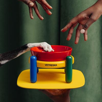 Show full view: VETRESKA Chroma Ceramic Elevated Dog & Cat Bowl & Mat Set, Small: 15-oz slide 6 of 10