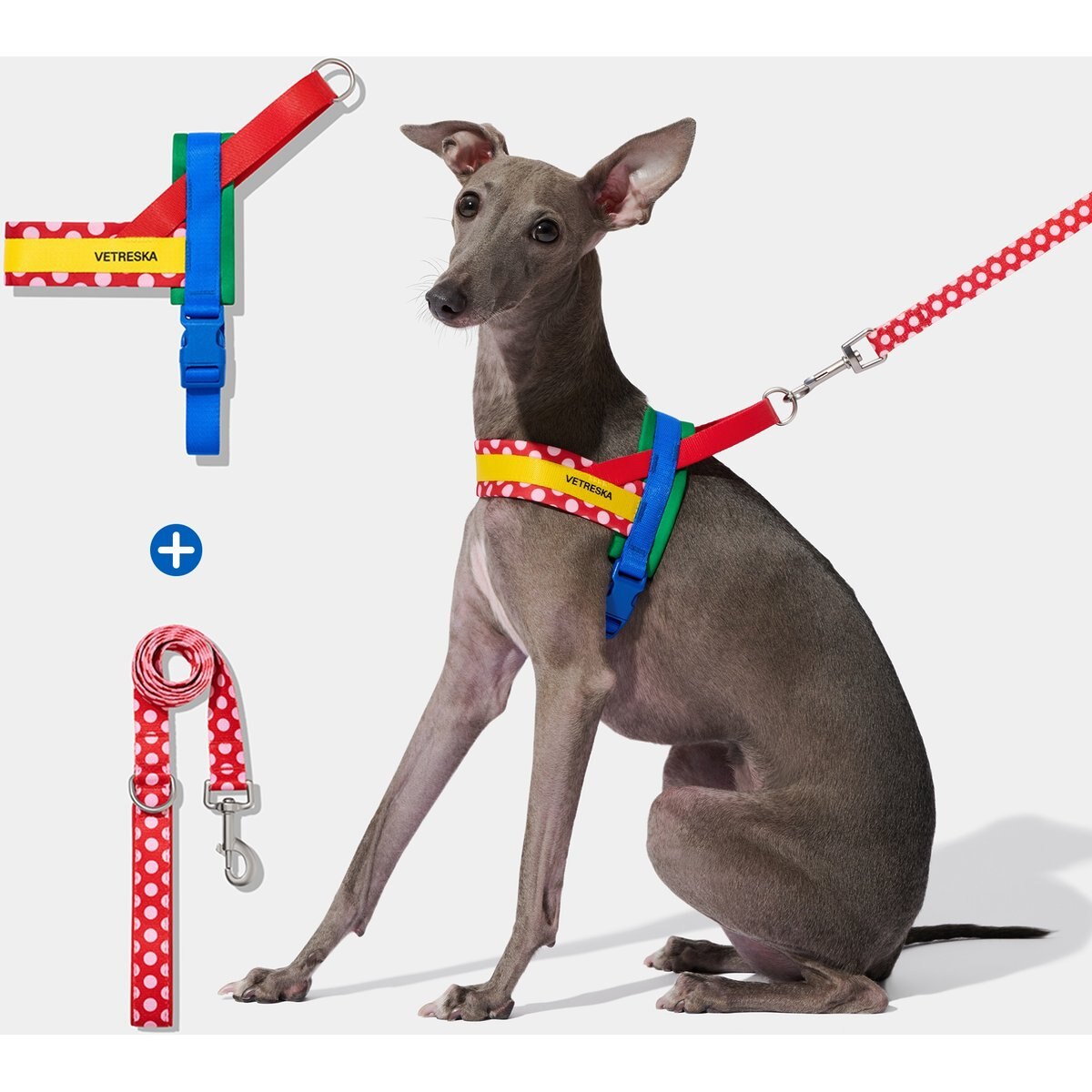 VETRESKA Chroma Dog Harness & Leash Set, Red, Medium: 23 to 30-in chest