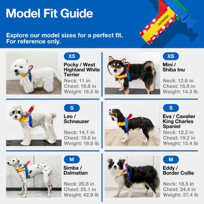 Show full view: VETRESKA Chroma Dog Harness & Leash Set, Red, Small: 19 to 26-in chest slide 9 of 10