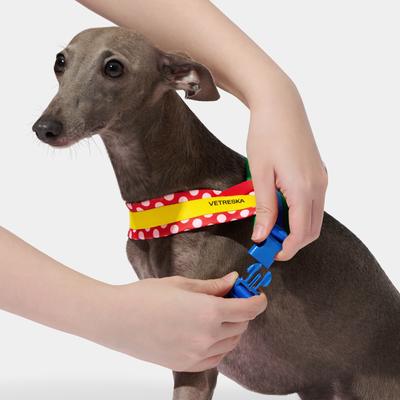 Show full view: VETRESKA Chroma Dog Harness & Leash Set, Red, Small: 19 to 26-in chest slide 7 of 10