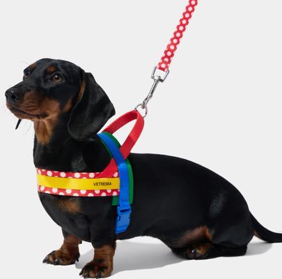 Show full view: VETRESKA Chroma Dog Harness & Leash Set, Red, Small: 19 to 26-in chest slide 5 of 10