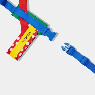 Show full view: VETRESKA Chroma Dog Harness & Leash Set, Red, Small: 19 to 26-in chest slide 3 of 10