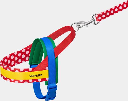 Show full view: VETRESKA Chroma Dog Harness & Leash Set, Red, Small: 19 to 26-in chest slide 2 of 10