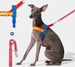 VETRESKA Chroma Dog Harness & Leash Set, Red, X-Small: 16 to 21-in chest