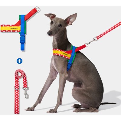 VETRESKA VETRESKA Chroma Dog Harness & Leash Set, Red, X-Small: 16 to 21-in chest