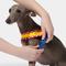 Show in main carousel: VETRESKA Chroma Dog Harness & Leash Set, Red, X-Small: 16 to 21-in chest slide 7 of 10