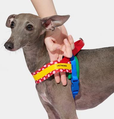 Show full view: VETRESKA Chroma Dog Harness & Leash Set, Red, X-Small: 16 to 21-in chest slide 6 of 10