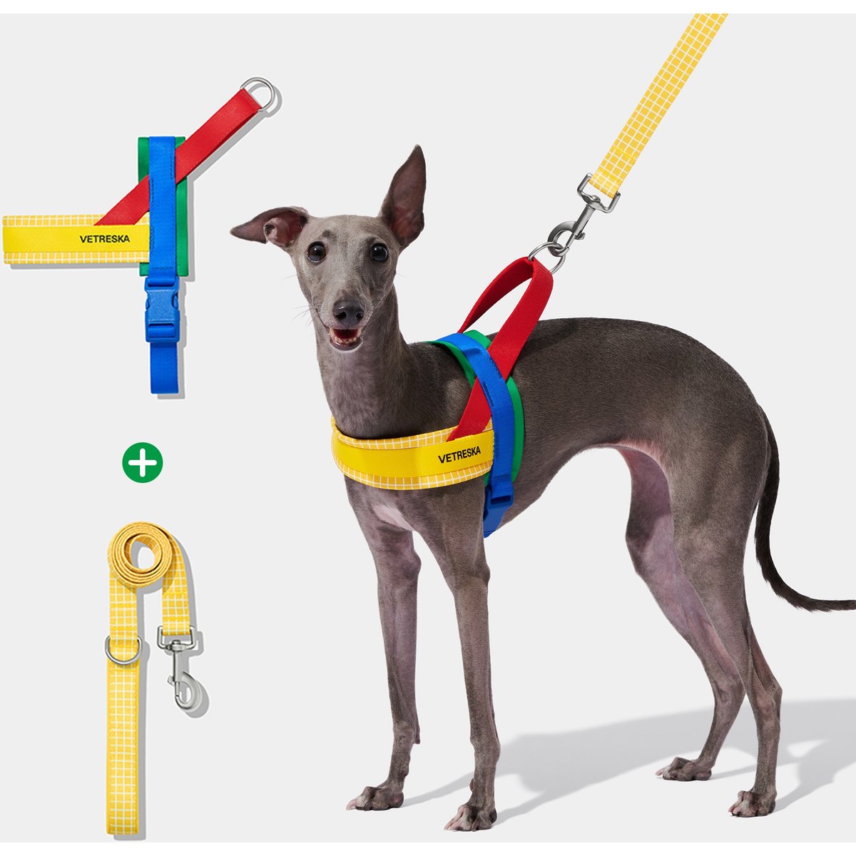 VETRESKA Chroma Dog Harness & Leash Set, Yellow, Medium: 23 to 30-in chest