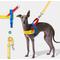 Show in main carousel: VETRESKA Chroma Dog Harness & Leash Set, Yellow, Medium: 23 to 30-in chest slide 1 of 10