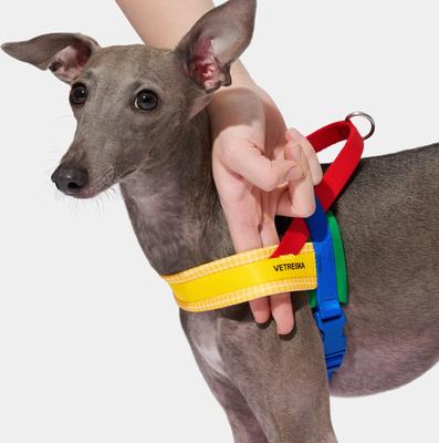 Show full view: VETRESKA Chroma Dog Harness & Leash Set, Yellow, Medium: 23 to 30-in chest slide 6 of 10