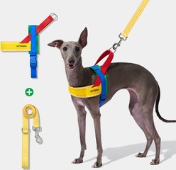 VETRESKA Chroma Dog Harness & Leash Set, Yellow, X-Small: 16 to 21-in chest