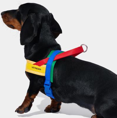 Show full view: VETRESKA Chroma Dog Harness & Leash Set, Yellow, X-Small: 16 to 21-in chest slide 5 of 10