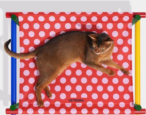 Show full view: VETRESKA Chroma Elevated Dog & Cat Bed, Medium, Red slide 4 of 9
