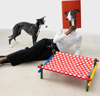 Show full view: VETRESKA Chroma Elevated Dog & Cat Bed, Medium, Red slide 3 of 9