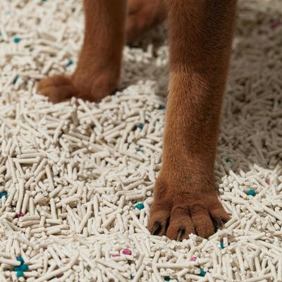 Show full view: VETRESKA Deodorant Oasis Cactus Scented Tofu Cat Litter, 5.5-lb bag slide 5 of 10