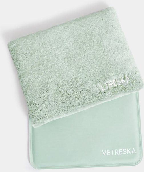 Show full view: VETRESKA Dog & Cat Carrier, Green slide 9 of 10