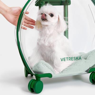 Show full view: VETRESKA Dog & Cat Carrier, Green slide 2 of 10