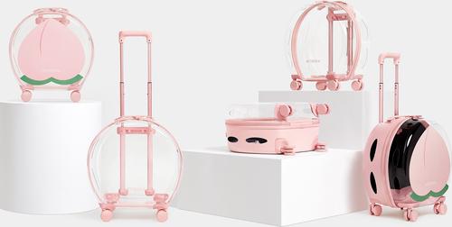 Show full view: VETRESKA Dog & Cat Carrier, Peach Color Block slide 8 of 9