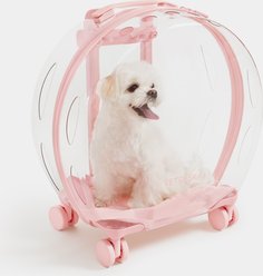 VETRESKA Dog & Cat Carrier, Peach