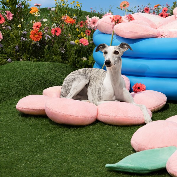 VETRESKA Flora Bolster Cat & Dog Bed