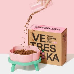 VETRESKA Flora Ceramic Elevated Dog & Cat Bowl, Pink/Green, Large: 64-oz