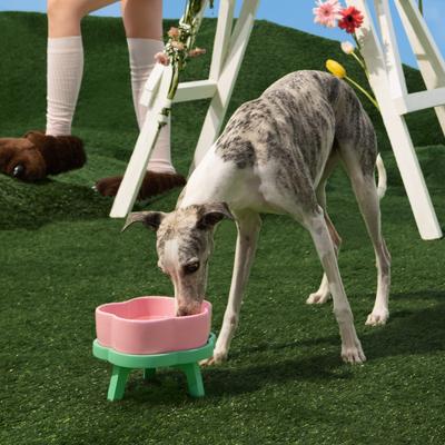 Show full view: VETRESKA Flora Ceramic Elevated Dog & Cat Bowl, Pink/Green, Large: 64-oz slide 9 of 11