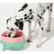 Show in main carousel: VETRESKA Flora Ceramic Elevated Dog & Cat Bowl, Pink/Green, Large: 64-oz slide 3 of 11