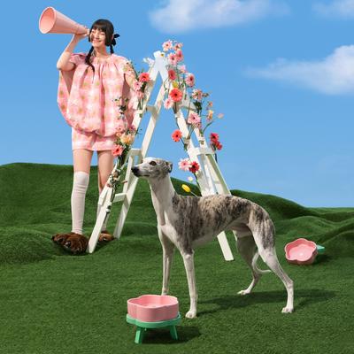 Show full view: VETRESKA Flora Ceramic Elevated Dog & Cat Bowl, Pink/Green, Medium: 40-oz slide 10 of 11