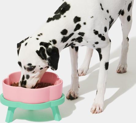 Show full view: VETRESKA Flora Ceramic Elevated Dog & Cat Bowl, Pink/Green, Medium: 40-oz slide 3 of 11