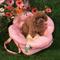 Show in main carousel: VETRESKA Flora Dog & Cat Carrier Car Booster Seat, Pink slide 4 of 11